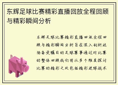东辉足球比赛精彩直播回放全程回顾与精彩瞬间分析